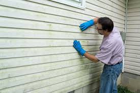 Best Vinyl Siding Installation  in Christopher, IL